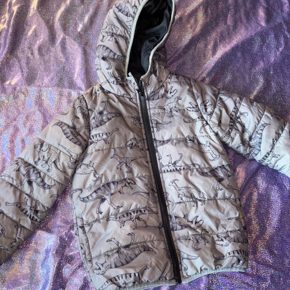 Boys Dinosaur Jacket
